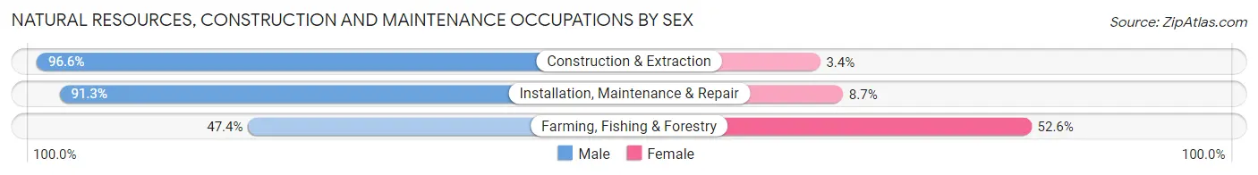 Natural Resources, Construction and Maintenance Occupations by Sex in Taney County