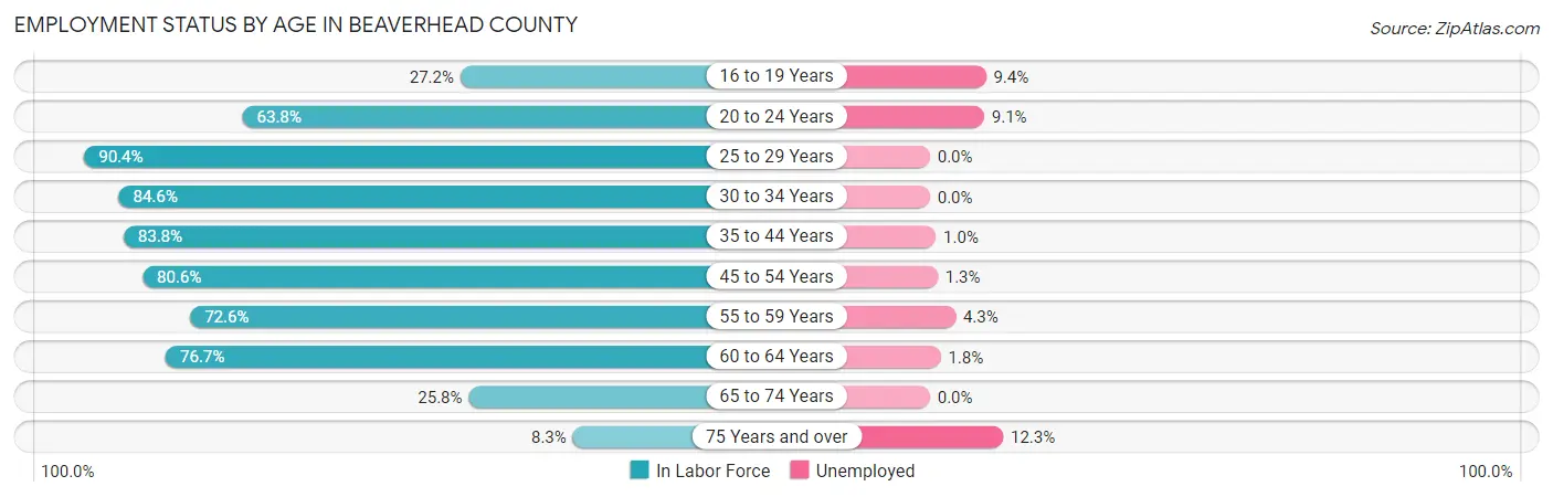 Employment Status by Age in Beaverhead County