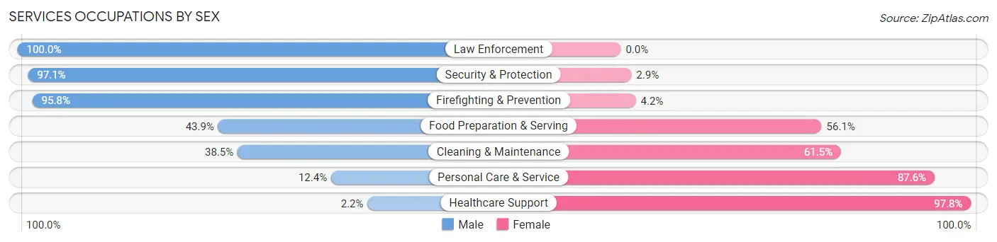 Services Occupations by Sex in Beaverhead County
