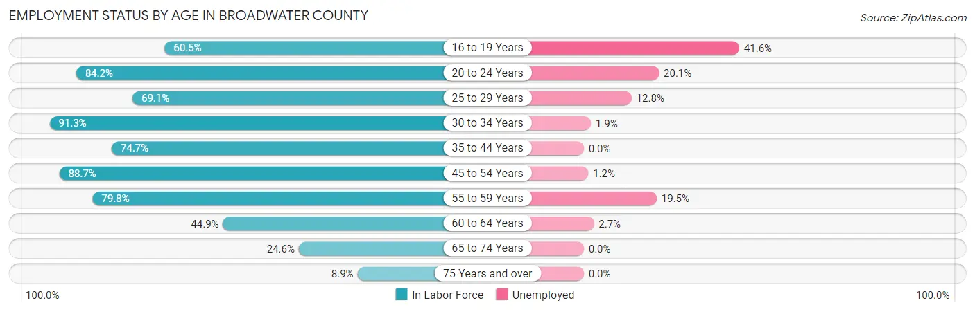 Employment Status by Age in Broadwater County