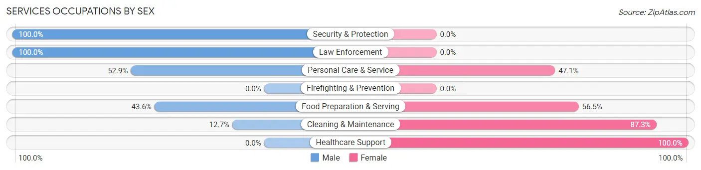Services Occupations by Sex in Broadwater County