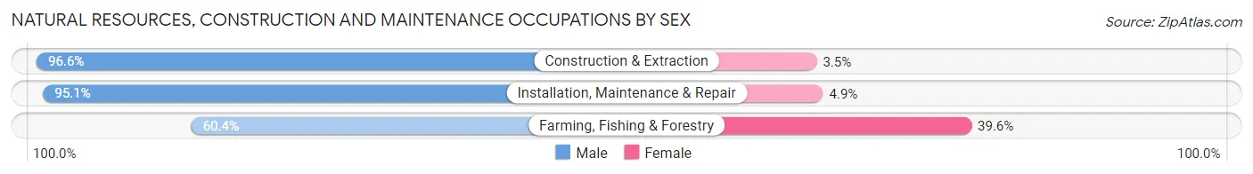 Natural Resources, Construction and Maintenance Occupations by Sex in Cascade County