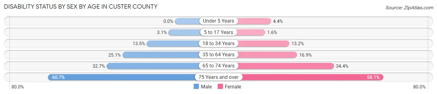 Disability Status by Sex by Age in Custer County