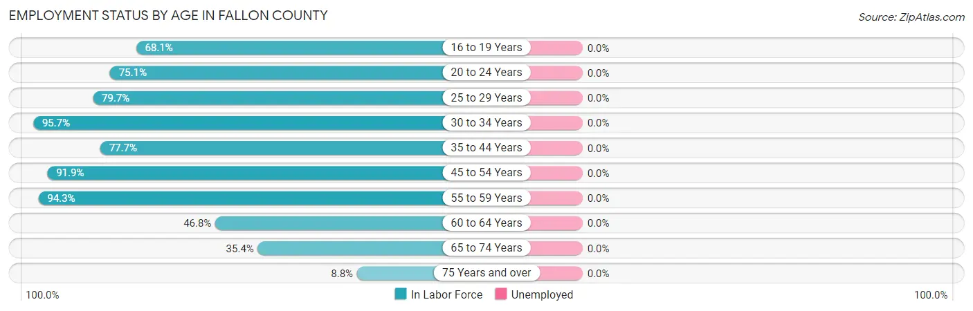 Employment Status by Age in Fallon County