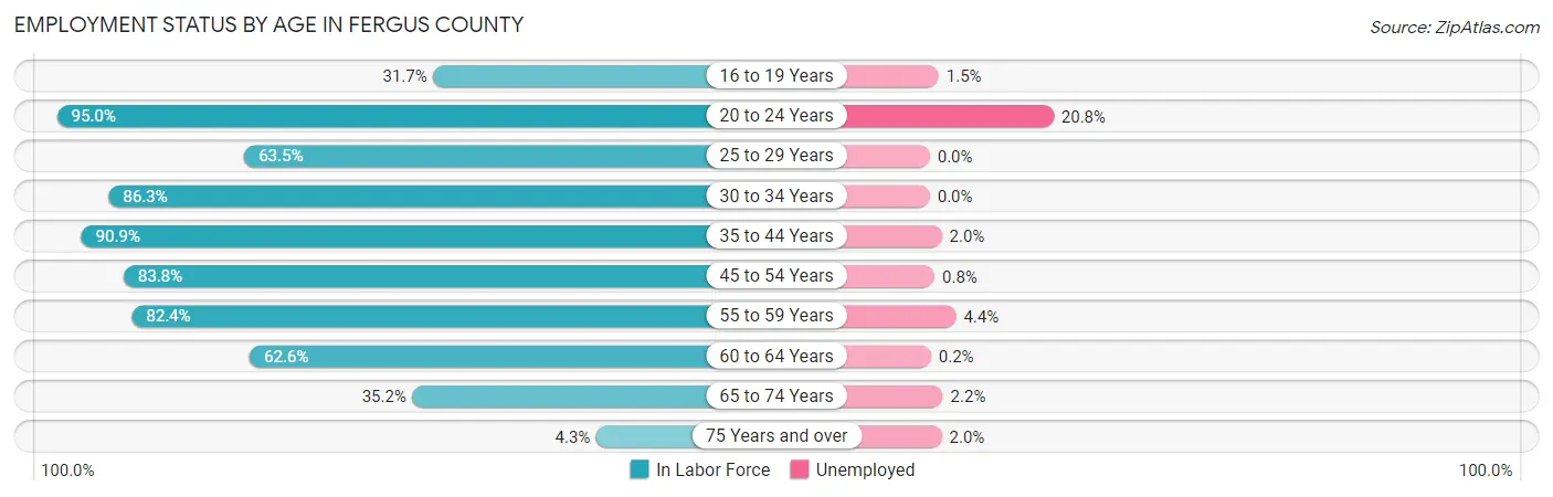 Employment Status by Age in Fergus County