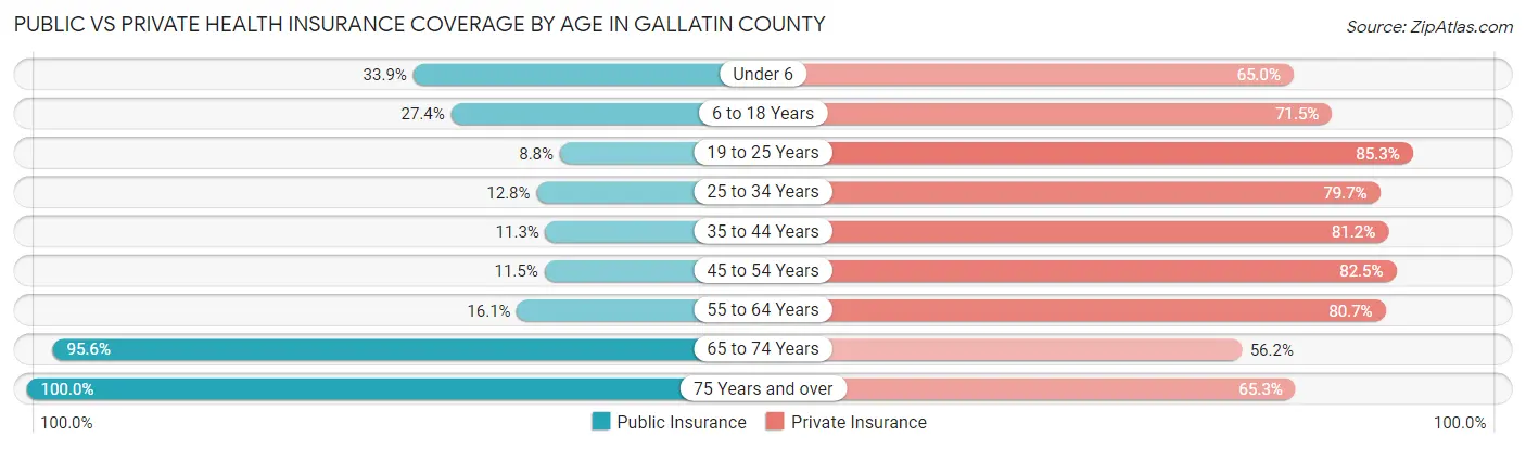 Public vs Private Health Insurance Coverage by Age in Gallatin County