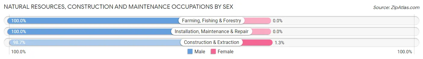 Natural Resources, Construction and Maintenance Occupations by Sex in Glacier County