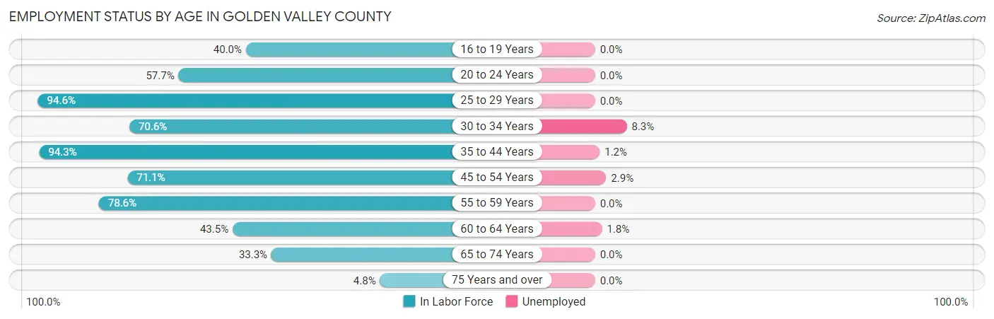Employment Status by Age in Golden Valley County