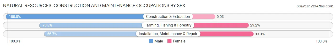 Natural Resources, Construction and Maintenance Occupations by Sex in Golden Valley County