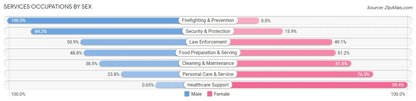 Services Occupations by Sex in Hill County