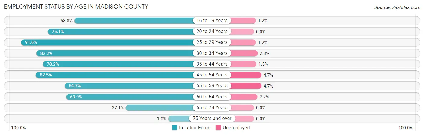 Employment Status by Age in Madison County