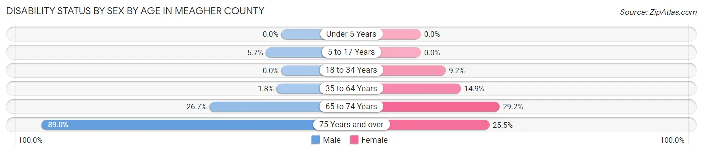 Disability Status by Sex by Age in Meagher County