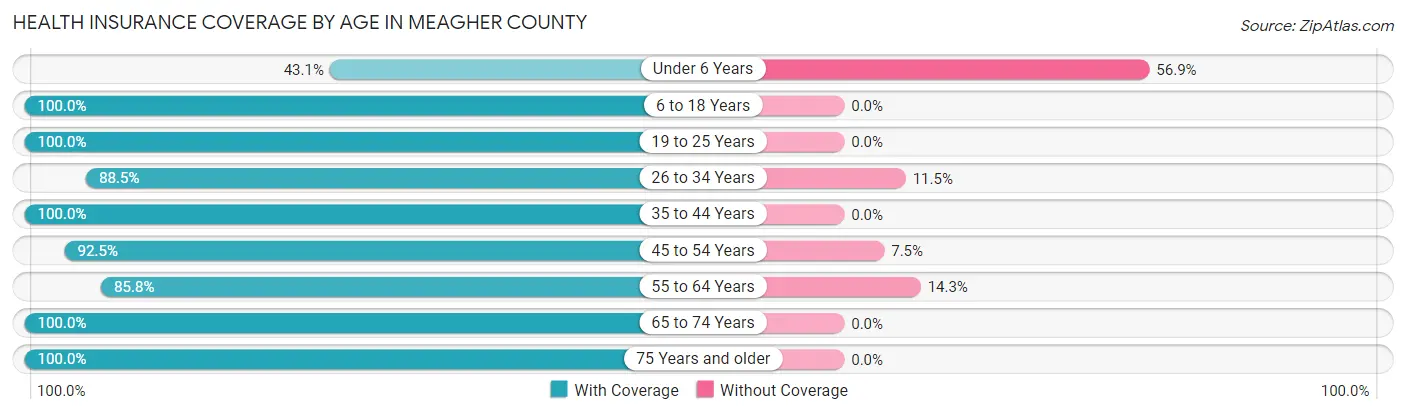 Health Insurance Coverage by Age in Meagher County