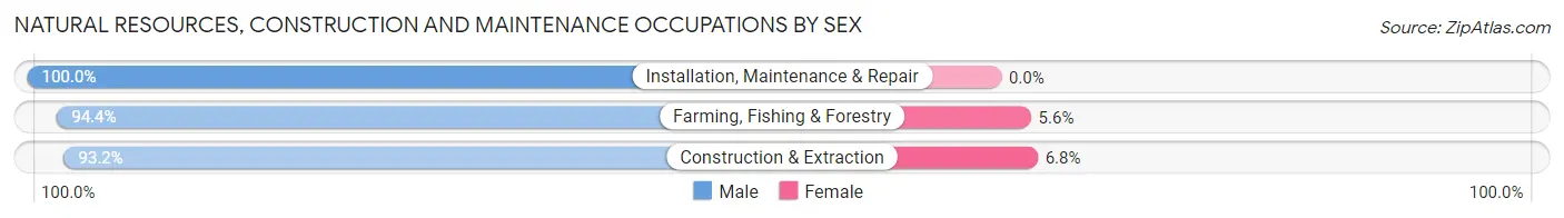 Natural Resources, Construction and Maintenance Occupations by Sex in Sanders County