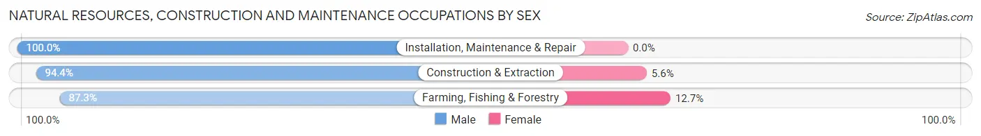 Natural Resources, Construction and Maintenance Occupations by Sex in Sheridan County