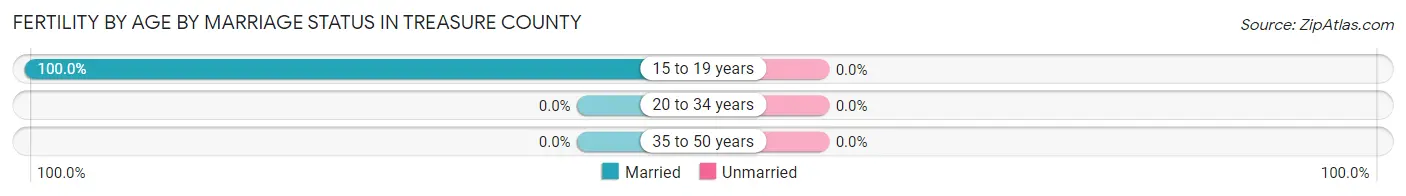 Female Fertility by Age by Marriage Status in Treasure County