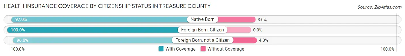 Health Insurance Coverage by Citizenship Status in Treasure County