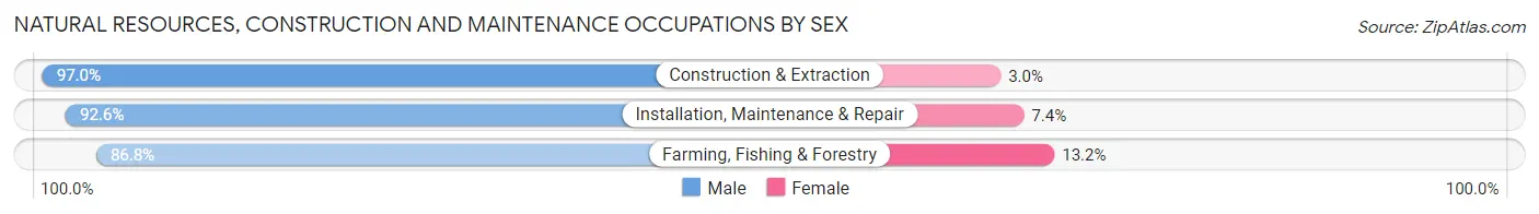 Natural Resources, Construction and Maintenance Occupations by Sex in Buncombe County