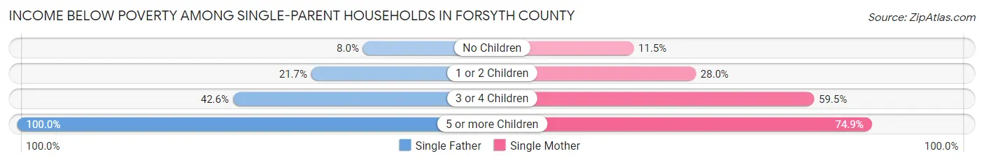 Income Below Poverty Among Single-Parent Households in Forsyth County