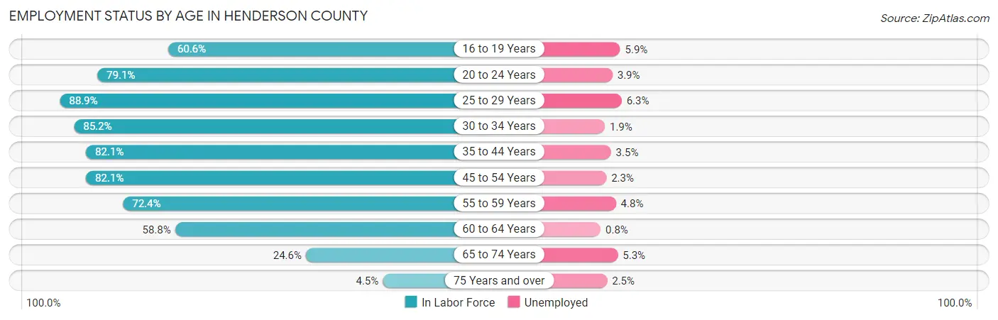 Employment Status by Age in Henderson County