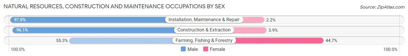 Natural Resources, Construction and Maintenance Occupations by Sex in Henderson County
