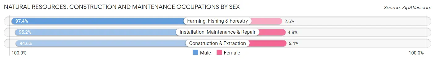 Natural Resources, Construction and Maintenance Occupations by Sex in New Hanover County