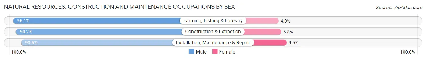 Natural Resources, Construction and Maintenance Occupations by Sex in Onslow County