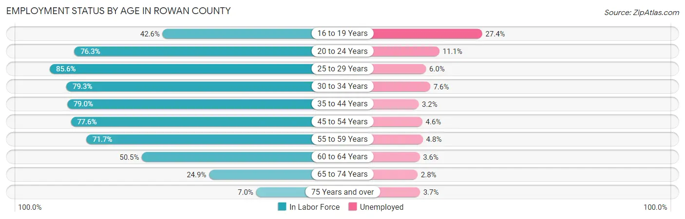 Employment Status by Age in Rowan County