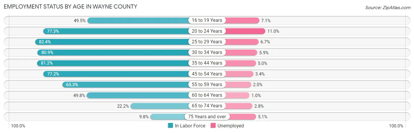 Employment Status by Age in Wayne County