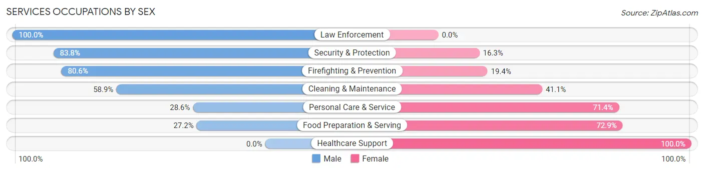 Services Occupations by Sex in Benson County