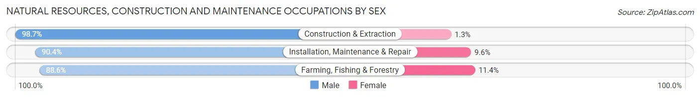 Natural Resources, Construction and Maintenance Occupations by Sex in Bottineau County