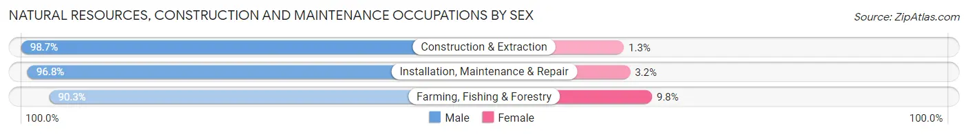 Natural Resources, Construction and Maintenance Occupations by Sex in Cass County