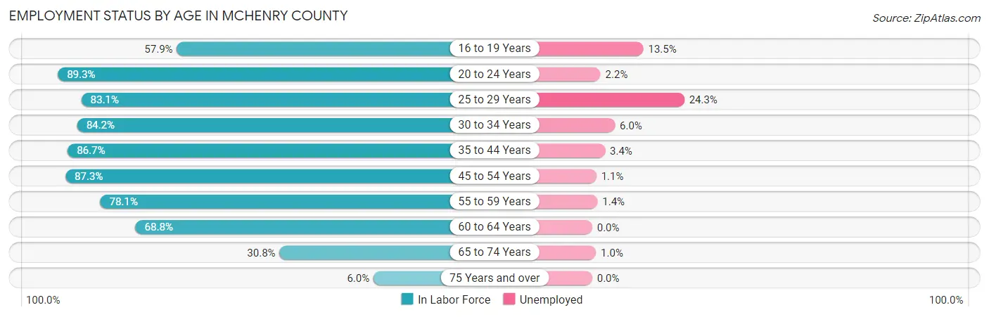 Employment Status by Age in McHenry County