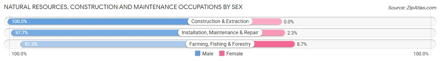 Natural Resources, Construction and Maintenance Occupations by Sex in McHenry County