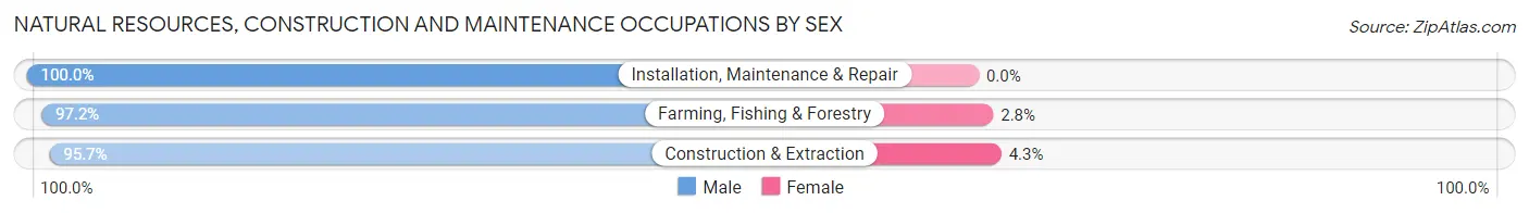 Natural Resources, Construction and Maintenance Occupations by Sex in Pembina County