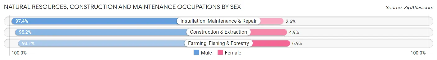 Natural Resources, Construction and Maintenance Occupations by Sex in Ransom County