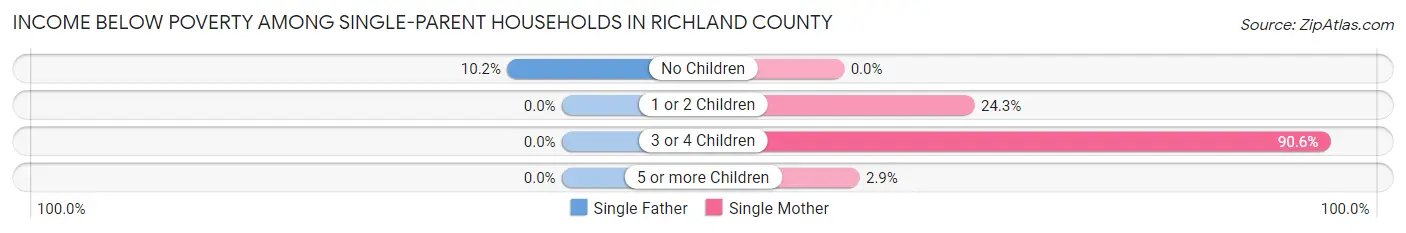 Income Below Poverty Among Single-Parent Households in Richland County