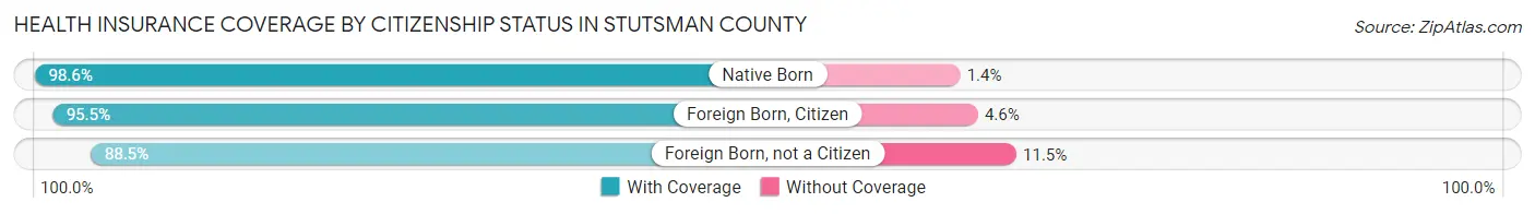 Health Insurance Coverage by Citizenship Status in Stutsman County