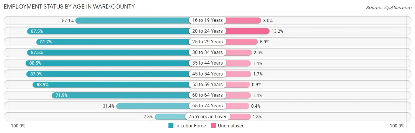 Employment Status by Age in Ward County