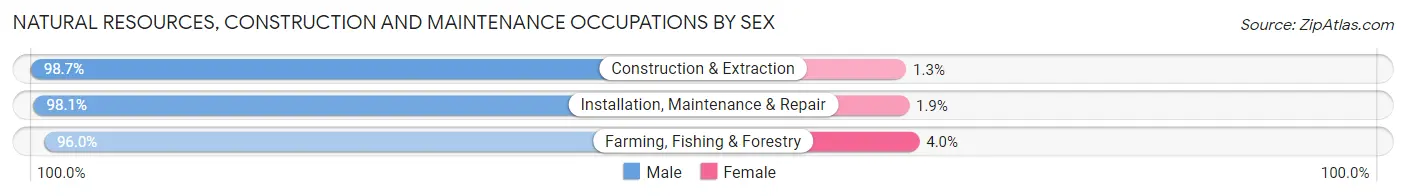 Natural Resources, Construction and Maintenance Occupations by Sex in Ward County