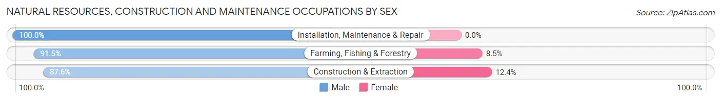 Natural Resources, Construction and Maintenance Occupations by Sex in Colfax County