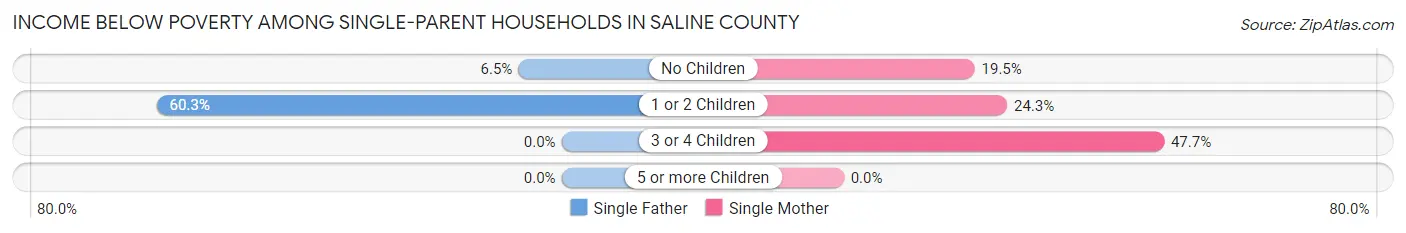 Income Below Poverty Among Single-Parent Households in Saline County