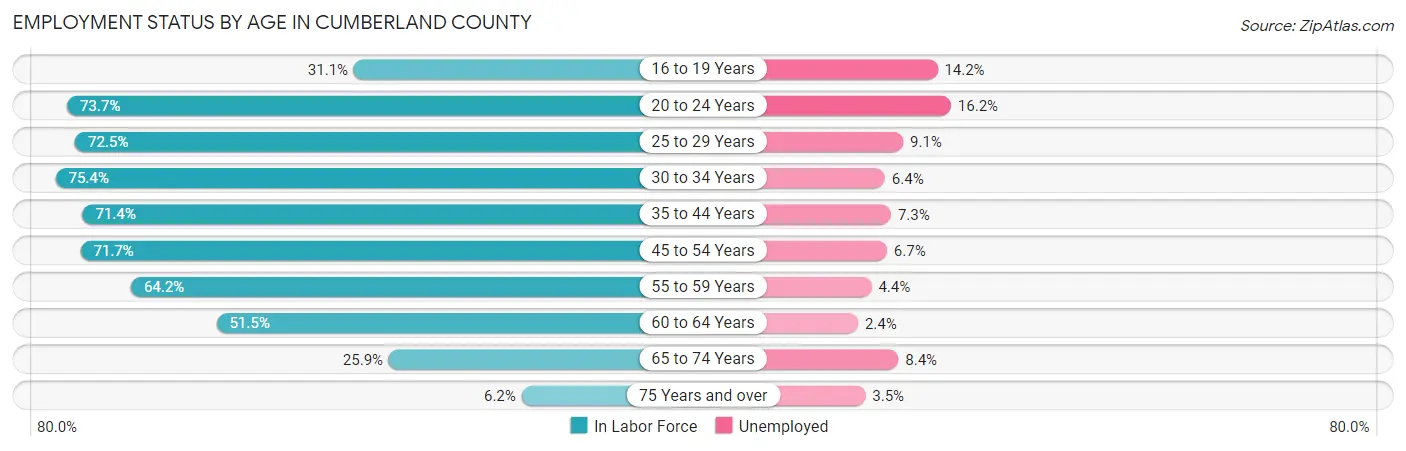 Employment Status by Age in Cumberland County