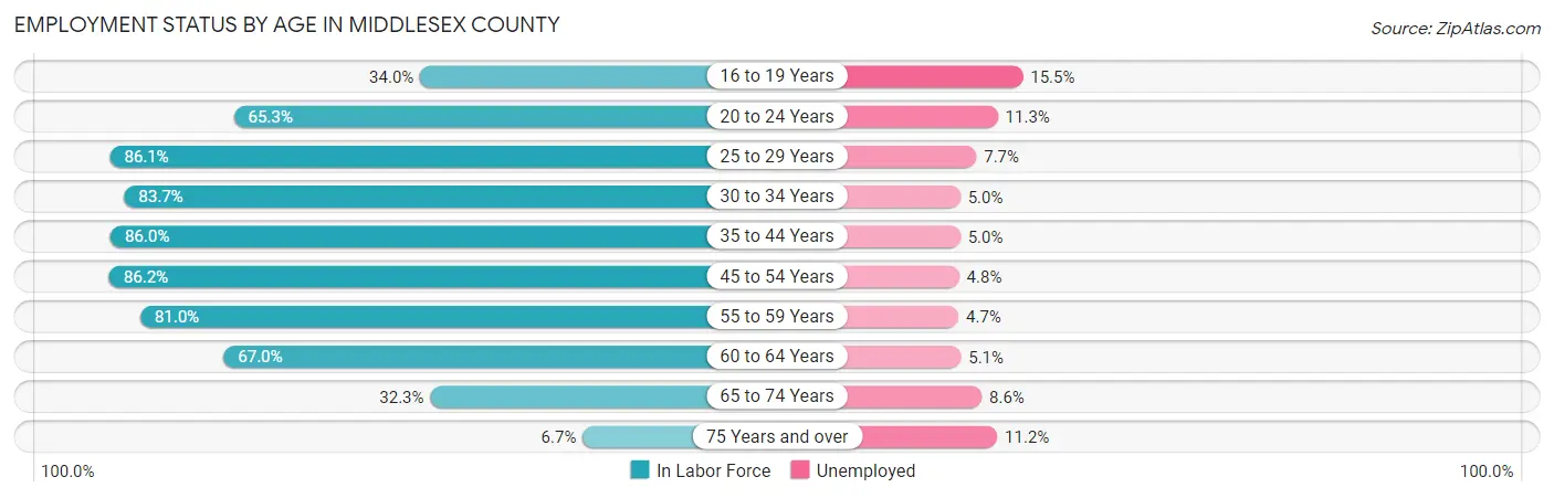 Employment Status by Age in Middlesex County
