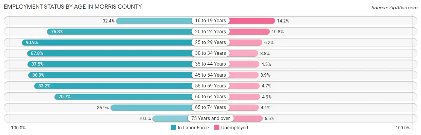 Employment Status by Age in Morris County