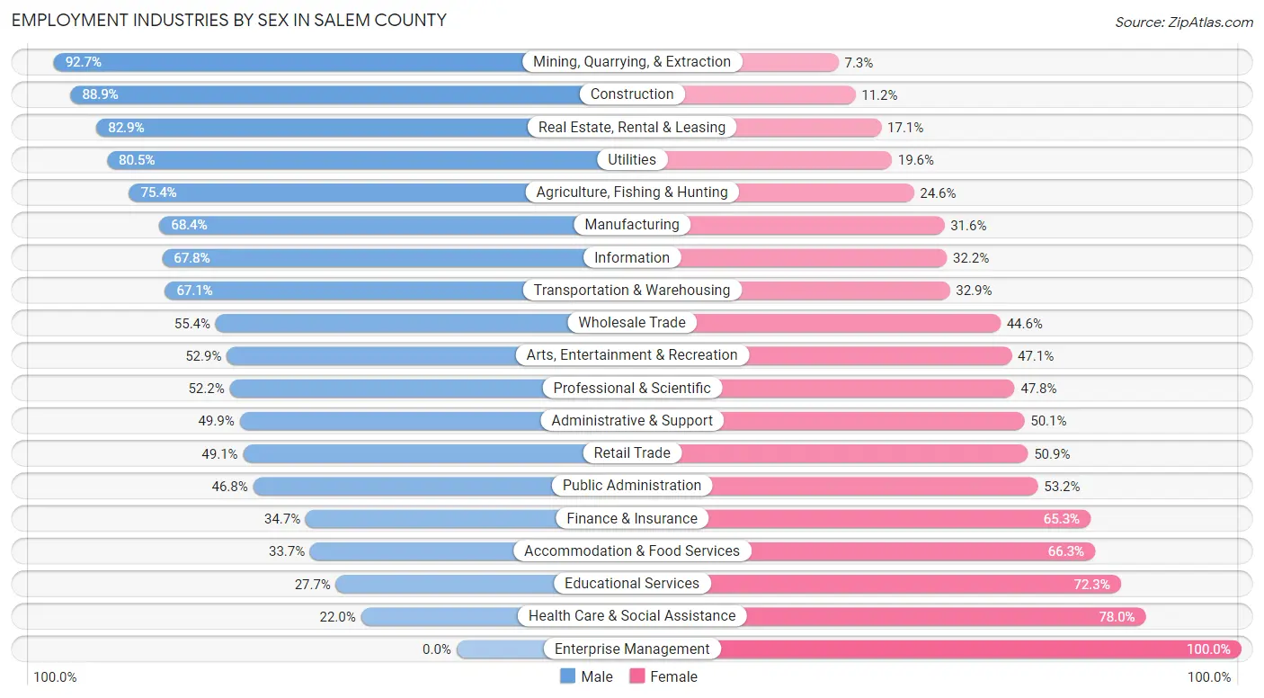 Employment Industries by Sex in Salem County