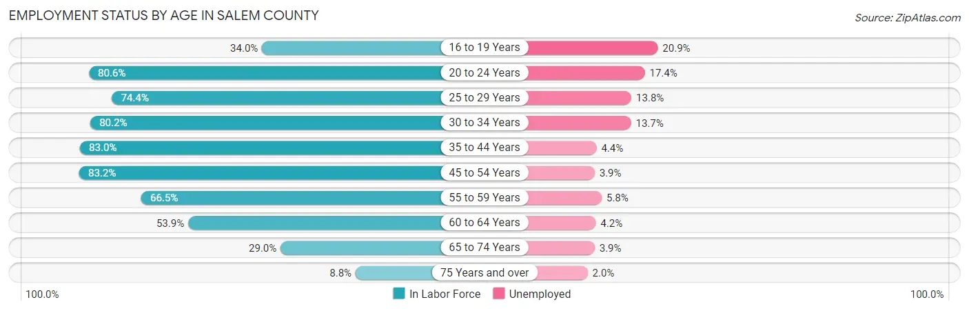 Employment Status by Age in Salem County