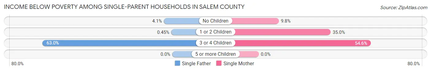 Income Below Poverty Among Single-Parent Households in Salem County