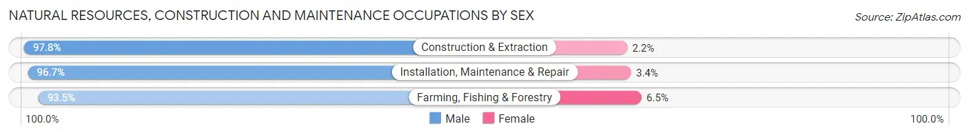 Natural Resources, Construction and Maintenance Occupations by Sex in Salem County