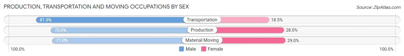 Production, Transportation and Moving Occupations by Sex in Salem County